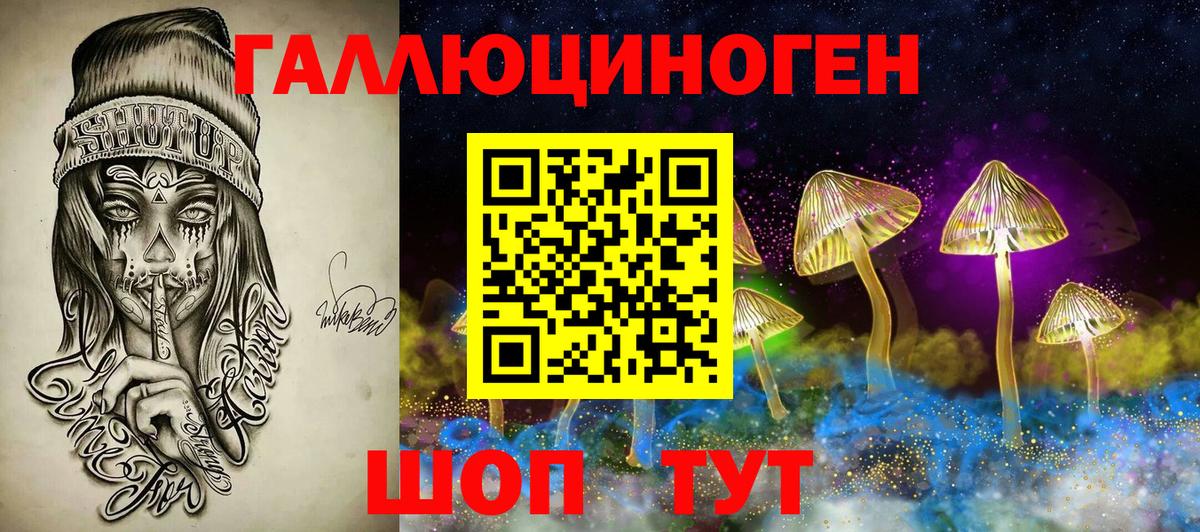 Псилоцибиновые грибы мицелий Дербент