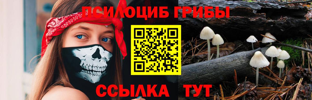 Дербент  закладки  Вход с VPN  Галлюциногенные грибы Psilocybine cubensis 